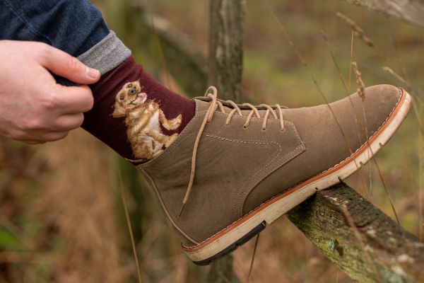 labradorsocken